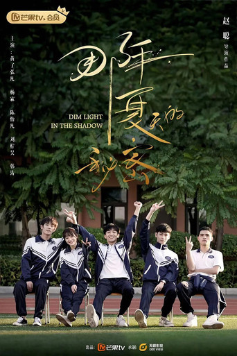 那年夏天的秘密海報