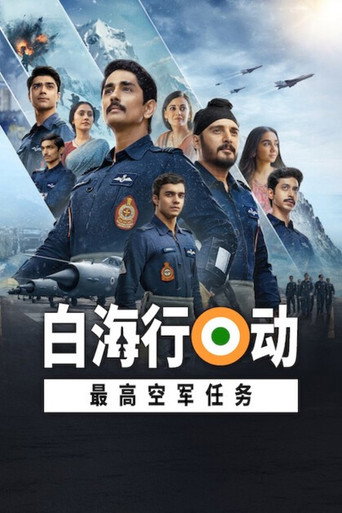 白海行動：最高空軍任務海報