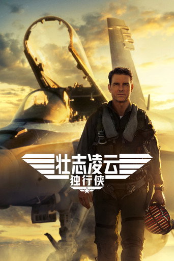 捍衛戰士:獨行俠海報