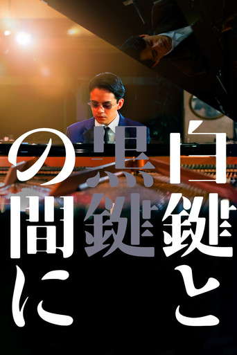 在黑鍵與白鍵之間海報