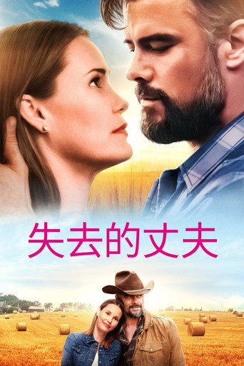 失去的丈夫海報