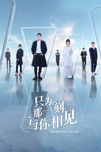只為那一刻與你相見海報