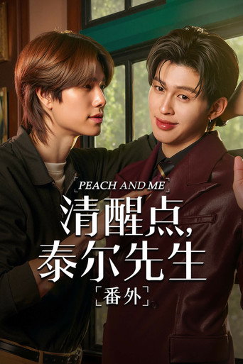 清醒點,泰爾先生 番外海報