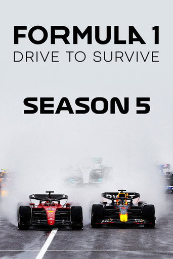 Formula 1:飆速求生 第 5 季海報