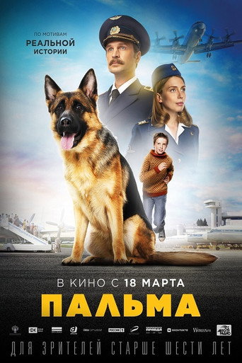 忠犬帕爾瑪海報