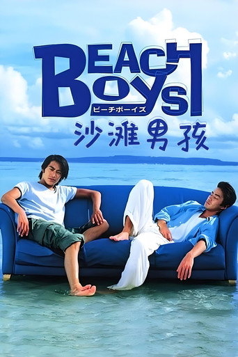 海灘男孩海報