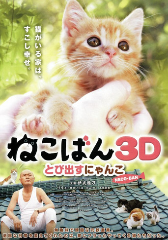 小貓跳出來3D海報