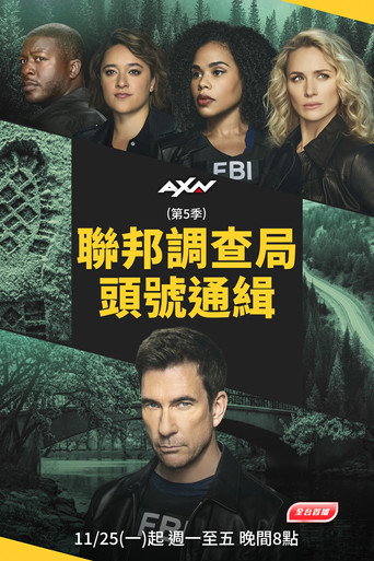 聯邦調查局:頭號通緝 第 5 季海報