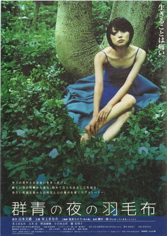 夜晚的藍色羽毛毯海報