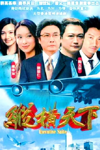 縱橫天下海報