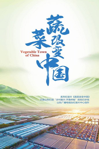 蔬菜改變中國海報