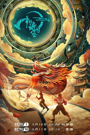 中國詩詞大會 第9季海報