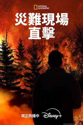 災難現場直擊海報