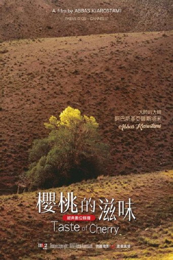 櫻桃的滋味海報