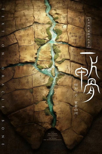 一片甲骨海報