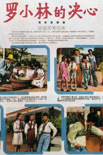 羅小林的決心海報