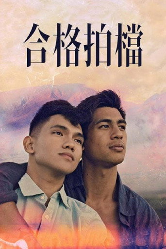 合格拍檔海報
