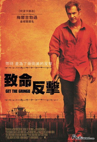致命反擊海報