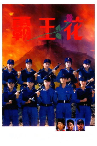 霸王花海報