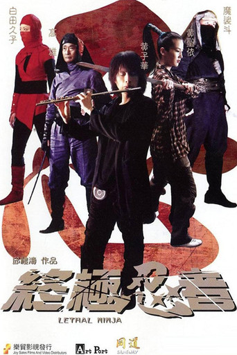 終極忍者海報