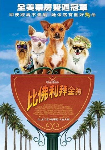 比佛利拜金狗海報