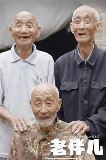 老伴兒海報
