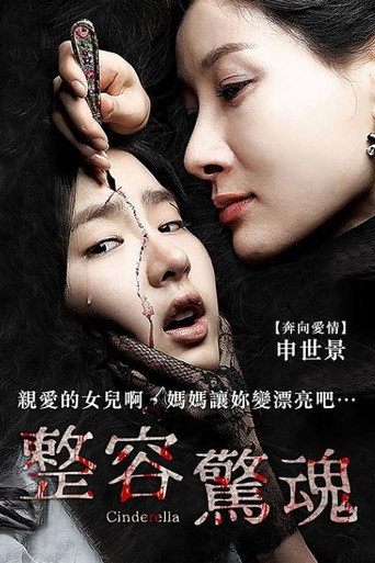 整容驚魂海報