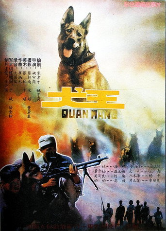 犬王海報