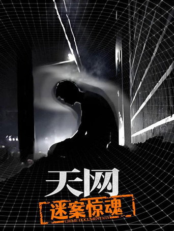 天網:罪案紀實 天網:迷案驚魂海報