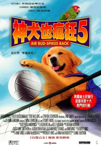 神犬也瘋狂5海報