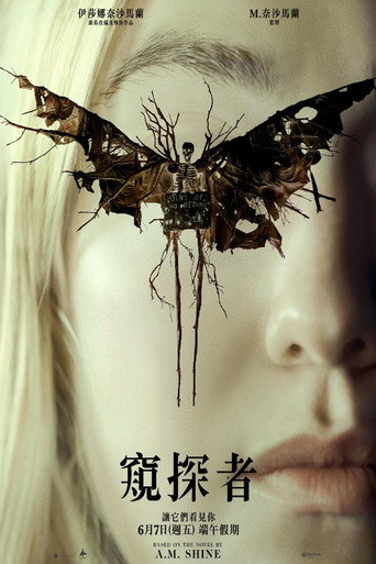 窺探者海報