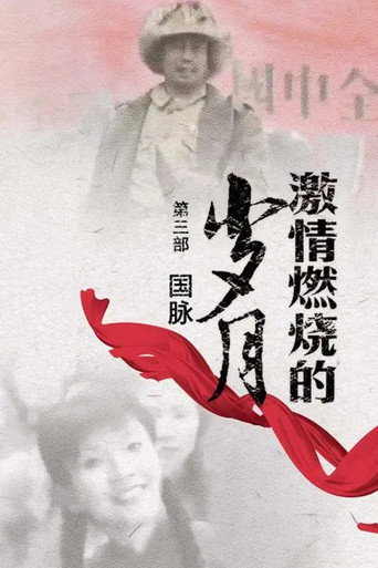 激情燃燒的歲月 激情燃燒的歲月3海報