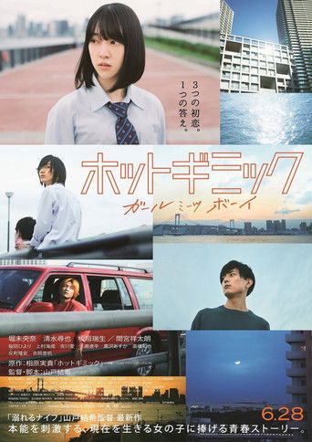 熱情花招:當女孩遇上男孩海報