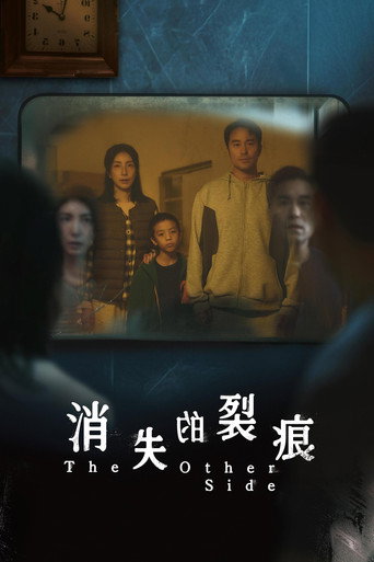 消失的裂痕海報