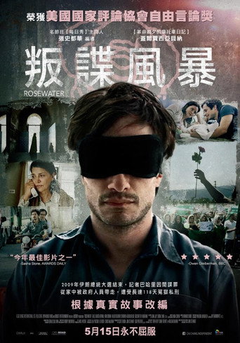 叛諜風暴海報