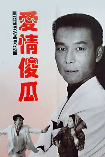 愛情傻瓜海報