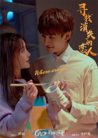 尋找消失的戀人海報