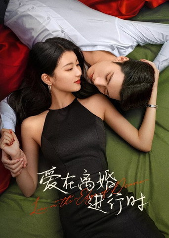愛在離婚進行時海報
