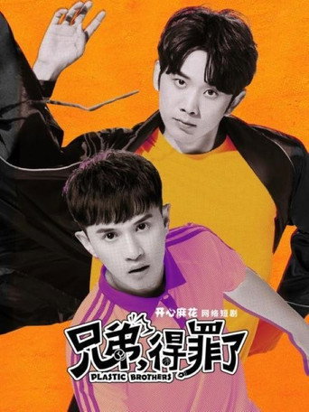 兄弟，得罪了海報