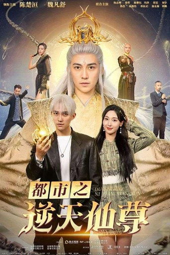 都市之逆天仙尊海報