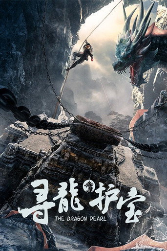 尋龍護寶海報