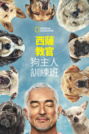 金牌訓狗師:狗主人訓練班海報