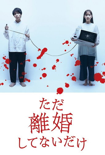 只是沒離婚而已海報