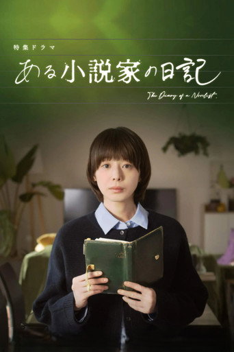 某位小說家的日記海報