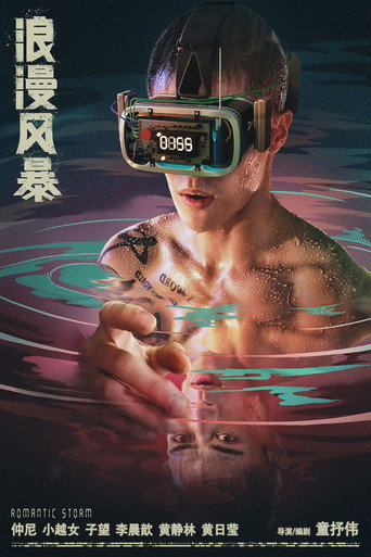 浪漫風暴海報
