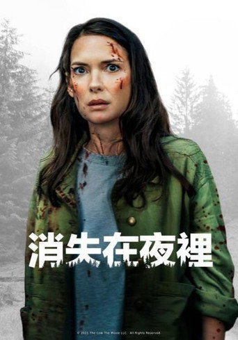 消失在夜裡海報