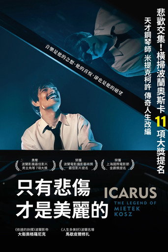 只有悲傷才是美麗的海報