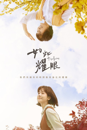 如此耀眼海報