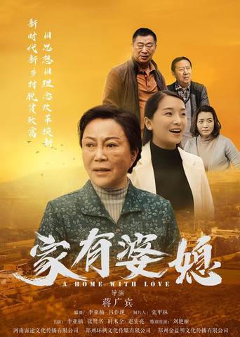 家有婆媳海報