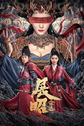 展昭·探案海報